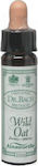 Ainsworths Wild Oat Esență Florală în Picături 10ml