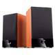 Genius SP-HF360B