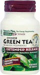Nature's Plus Herbal Actives Green Tea Extended Release Ceai verde 30 file