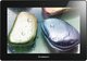 Lenovo S6000L 10.1" Tablet με (1GB/16GB)