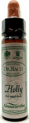 Ainsworths Holly Ανθοΐαμα 10ml