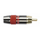 DAP-Audio RCA male (RMK102R)