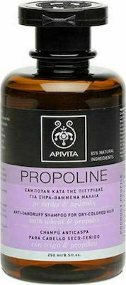 Apivita Anti Dandruff Wheat & Propolis Σαμπουάν κατά της Πιτυρίδας για Ξηρά Μαλλιά 250ml
