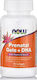 Now Foods Now Prenatal Gels + Dha Special Food Supplements for Pregnancy 90 Softgels