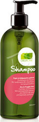 Green Care Σαμπουάν Αναδόμησης/Θρέψης 500ml