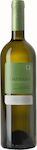 Κτήμα Παυλίδη Κρασί Emphasis Chardonnay Λευκό Ξηρό 750ml