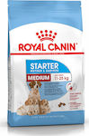 Royal Canin Starter Mother & Babydog Medium 12kg Hrană Uscată pentru Cățeluși de Rase Medii cu Porumb, Orez și Pui