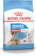 Royal Canin Starter Mother & Babydog Medium 4kg Trockenfutter für Welpen mittlerer Rassen mit Mais, Huhn und Reis