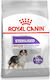 Royal Canin Medium Sterilised 3kg Trockenfutter für sterilisierte erwachsene Hunde mittlerer Rassen mit Mais und Geflügel