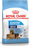 Royal Canin Starter Mother & Babydog Maxi 4kg Ξηρά Τροφή για Κουτάβια Μεγαλόσωμων Φυλών με Πουλερικά και Ρύζι