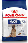 Royal Canin Maxi Adult 5+ 15kg Ξηρά Τροφή για Ενήλικους Σκύλους Μεγαλόσωμων Φυλών με Καλαμπόκι, Κοτόπουλο και Ρύζι