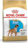 Royal Canin Puppy Boxer 12kg Ξηρά Τροφή για Κουτάβια Μεσαίων Φυλών με Πουλερικά και Ρύζι