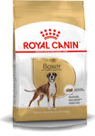 Royal Canin Adult Boxer 3kg Dry Food for Adult Medium Breed Dogs with Poultry and Rice