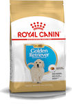 Royal Canin Puppy Golden Retriever 3kg Dry Food for Puppies of Large Breeds with and with Poultry