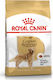 Royal Canin Adult Golden Retriever 12kg Ξηρά Τροφή για Ενήλικους Σκύλους Μεγαλόσωμων Φυλών με Καλαμπόκι, Πουλερικά και Ρύζι