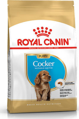 Royal Canin Cocker Puppy 3kg Hrană Uscată pentru Cățeluși de Rase Medii cu Porumb, Păsări de curte și Orez