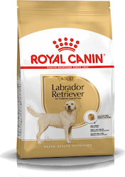 Royal Canin Adult Labrador Retriever 12kg Ξηρά Τροφή για Ενήλικους Σκύλους Μεγαλόσωμων Φυλών με Πουλερικά, Καλαμπόκι και Ρύζι