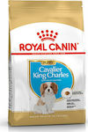 Royal Canin Puppy Cavalier King Charles 1.5kg Dry Food for Puppies of Small Breeds with Corn, Poultry and Rice