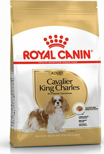 Cavalier King Charles Adult 1.5kg Dry Food for Adult Small Breed Dogs with Chicken and Rice