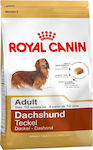 Royal Canin Adult Dachshund Teckel 1.5kg Dry Food Gluten-Free for Adult Small Breed Dogs with Brown rice and Chicken