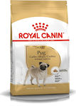 Royal Canin Adult Pug 3kg Dry Food for Adult Dogs of Small Breeds with Corn, Poultry and Rice