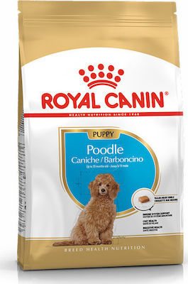 Royal Canin Poodle Junior 3kg Dry Food for Puppies of Small Breeds with Corn and Poultry