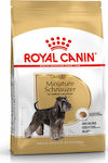 Royal Canin Adult Miniature Schnauzer 3kg Ξηρά Τροφή για Ενήλικους Σκύλους με Καλαμπόκι, Καστανό Ρύζι και Κοτόπουλο