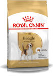 Royal Canin Adult Beagle 12kg Ξηρά Τροφή για Ενήλικους Σκύλους Μεσαίων Φυλών με Καλαμπόκι και Κοτόπουλο