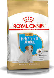 Royal Canin Puppy Jack Russell Terrier Royal Canin Puppy Jack Russell Terrier