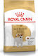 Royal Canin Adult Jack Russell Terrier 1.5kg Trockenfutter ohne Gluten für erwachsene Hunde kleiner Rassen mit Geflügel und Reis
