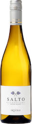 Σκούρας Salto Wild Yeast Λευκό Ξηρό 750ml Σκούρας Salto Wild Yeast Λευκό Ξηρό 750ml