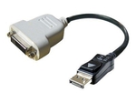 Dell 470-10983 Konverter Mini-DisplayPort männlich zu DVI-D weiblich Schwarz 1Stück