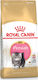 Royal Canin Persian Kitten Trockenfutter für junge Katzen mit Geflügel 2kg