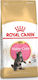 Royal Canin Maine Coon Kitten Dry Food for Juvenile Cats with Poultry / Rice 2kg