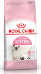 Royal Canin Second Age Kitten Ξηρά Τροφή για Ανήλικες Γάτες με Πουλερικά 2kg