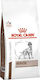 Royal Canin Veterinary Hepatic 12kg Dry Food for Adult Dogs with Corn and Rice