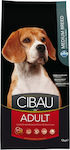 Farmina Cibau Adult Medium 12kg Dry Food for Adult Medium Breed Dogs with Corn, Chicken and Rice