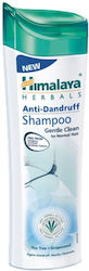 Himalaya Wellness Sampon de Par Contra Mătreață 200ml Himalaya Wellness Sampon de Par Contra Mătreață 200ml