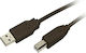 MediaRange 5m USB 2.0 Cable A-Male to B-Male (MRCS102)