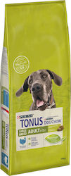 Purina Tonus Dog Chow Large Adult 14kg Ξηρά Τροφή για Ενήλικους Σκύλους Μεγαλόσωμων Φυλών με Γαλοπούλα