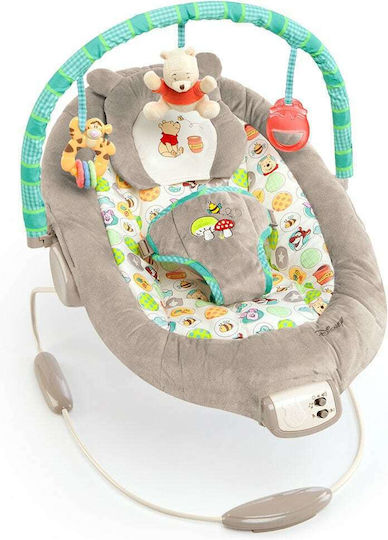Bright Starts WINNIE THE POOH Dots & Hunny Pots Bouncer Ηλεκτρικό Relax Μωρού Γκρι Bright Starts WINNIE THE POOH Dots & Hunny Pots Bouncer Ηλεκτρικό Relax Μωρού Γκρι