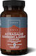 TerraNova Astragalus Elderberry & Garlic Συμπλήρωμα για την Ενίσχυση του Ανοσοποιητικού 50 φυτικές κάψουλες