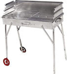 Biofan Galvanized Charcoal Grill with Wheels and Back 80cmx46cmcm