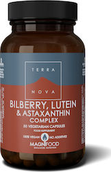 TerraNova Heidelbeer Lutein & Astaxanthin Komplex 50 Kräuterkapseln TerraNova Heidelbeer Lutein & Astaxanthin Komplex 50 Kräuterkapseln