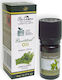 BioAroma Essential Βιολογικό Αιθέριο Έλαιο Oregano 5ml
