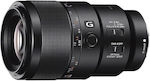 Sony Voller Rahmen Kameraobjektiv FE 90mm f/2.8 G OSS Teleobjektiv / Makro für Sony E Mount