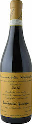 Azienda Agricola Quintarelli Giuseppe Amarone Della Valpolicella Classico Rot Trocken 750ml