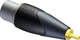 Procab CLP130 Konverter RCA männlich zu XLR weiblich 1Stück