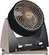 Primo Box Fan Efba 10" 18.312 800312 Ventilator Box Fan 40W Diametru 23cm Negru