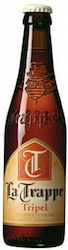 BB de Koningshoeven La Trappe Tripel Trappist Φιάλη